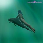 free gallery 42